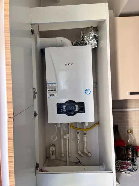 Kartal / Topselvi Mah. E.C.A Proteus Premix 24kW montajı